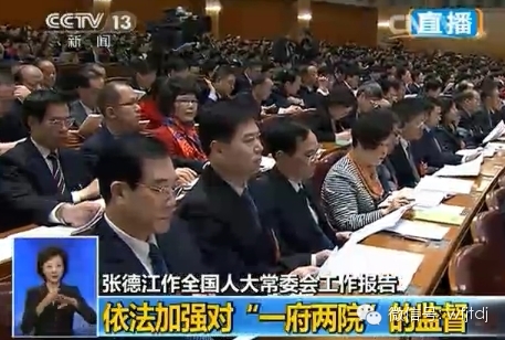 【關注全國兩會】陳愛蓮代表參加十二屆全國人大二次會議第二次全體會議