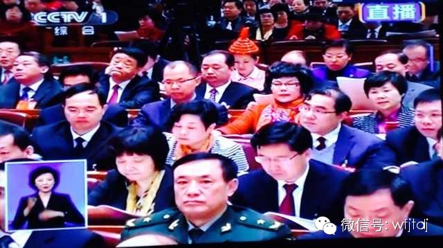 【關注全國兩會】陳愛蓮代表參加十二屆全國人大二次會議第二次全體會議